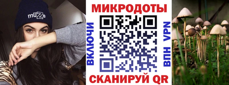 Псилоцибиновые грибы мицелий  Советская Гавань 
